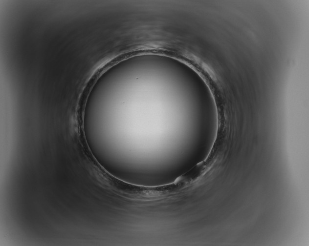 X0000099931308200805301150