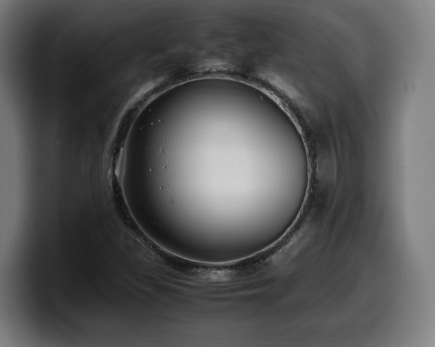 X0000099931309200805301150