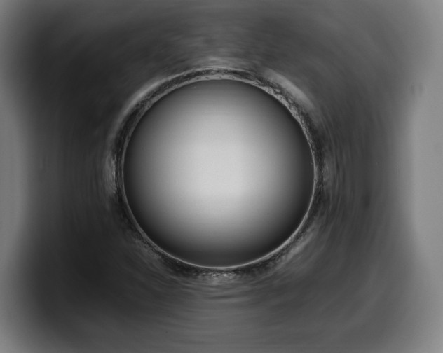 X0000099931310200805301150