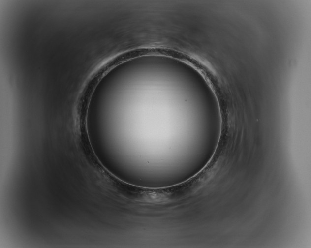 X0000099931311200805301150