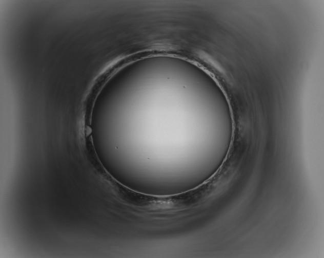 X0000099931315200805301150