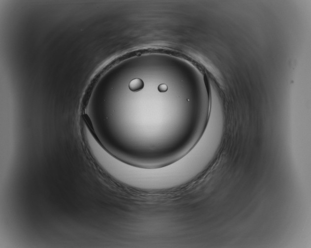 X0000099931316200805301150