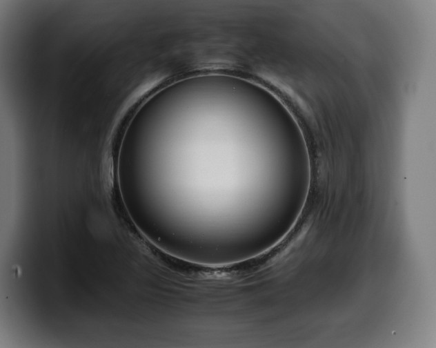 X0000099931317200805301150