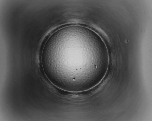 X0000099931318200805301150