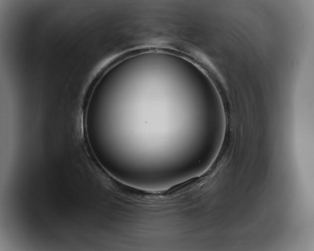 X0000099931320200805301150