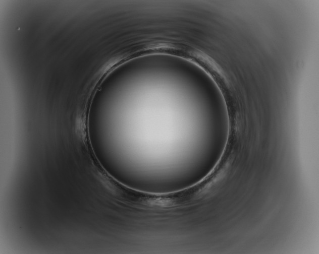 X0000099931321200805301150