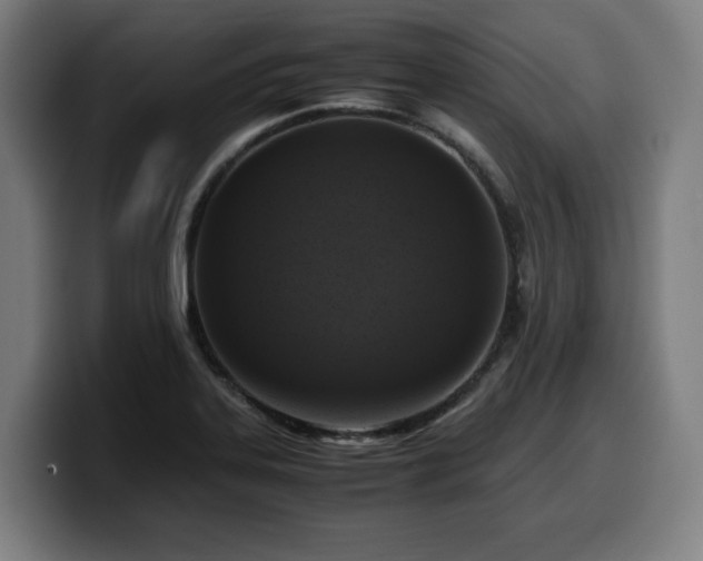 X0000099931323200805301151