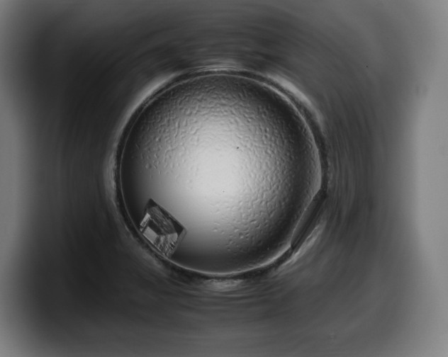 X0000099931325200805301151