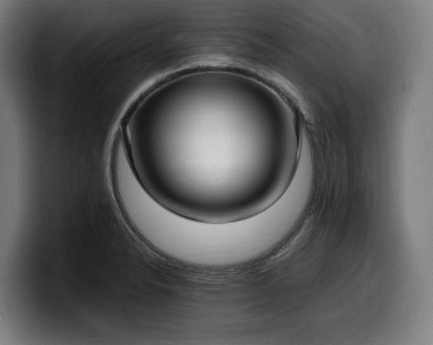 X0000099931326200805301151