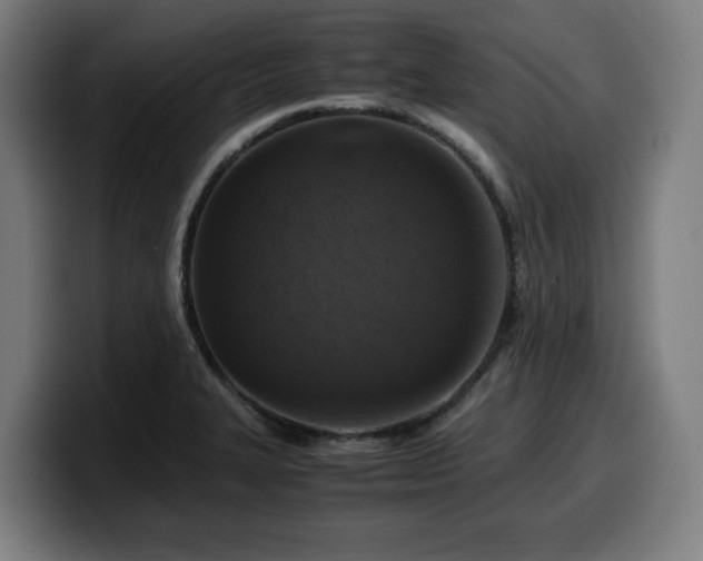 X0000099931327200805301151