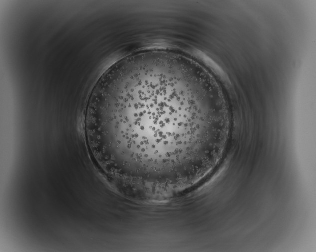 X0000099931329200805301151