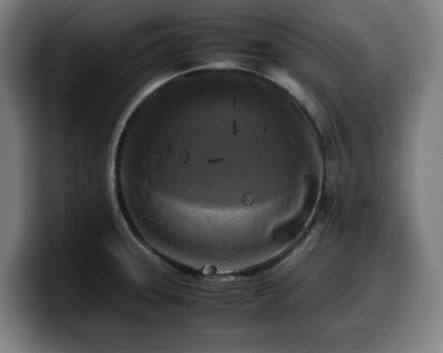 X0000099931331200805301151
