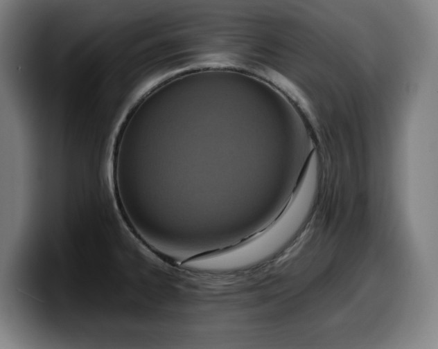 X0000099931334200805301151