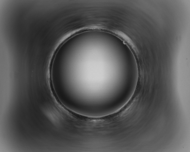 X0000099931335200805301151