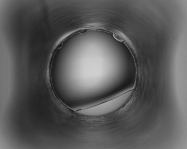 X0000099931336200805301151