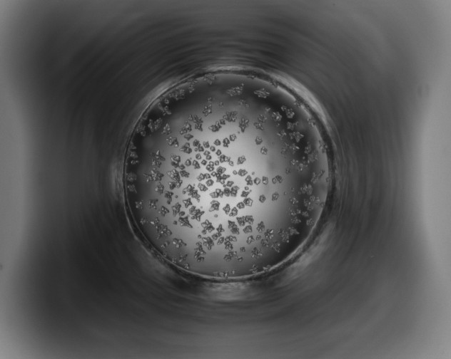 X0000099931337200805301151