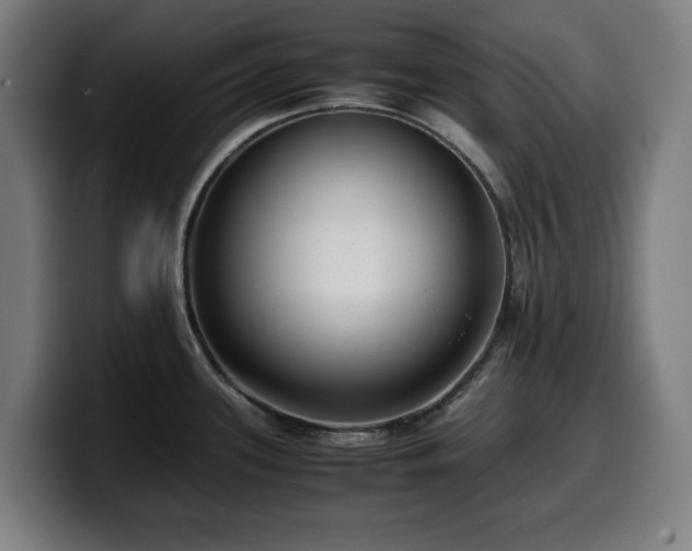 X0000099931339200805301151