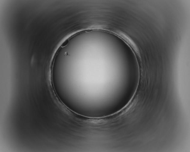 X0000099931340200805301151