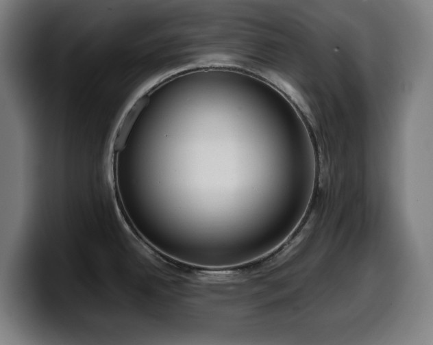 X0000099931342200805301151