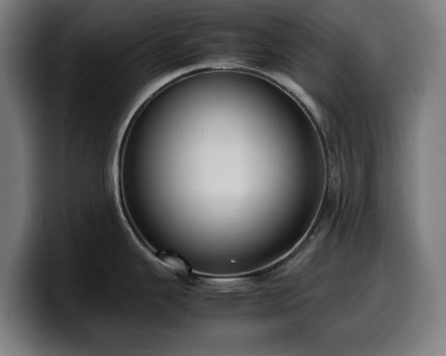 X0000099931343200805301151