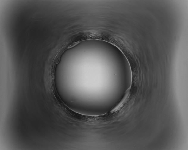 X0000099931345200805301150