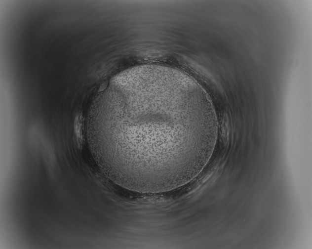 X0000099931346200805301150