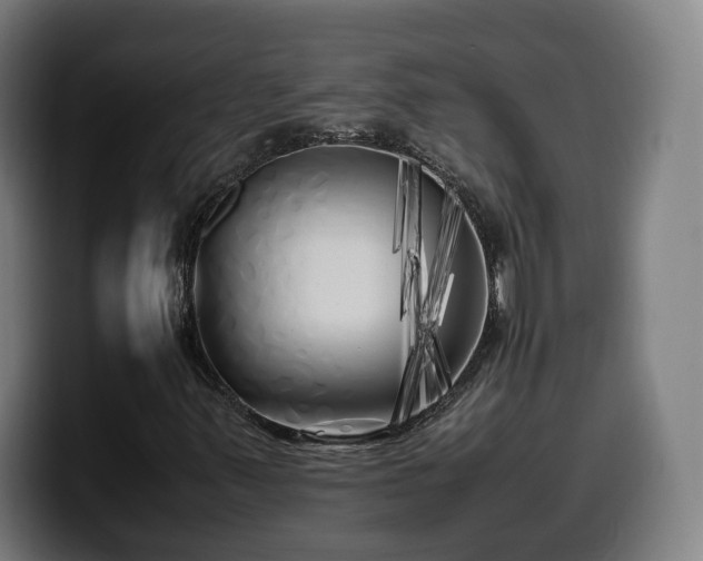 X0000099931347200805301150