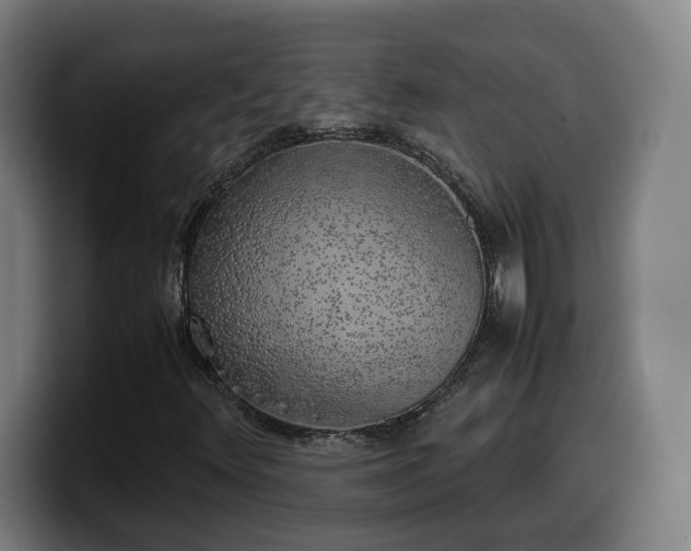 X0000099931348200805301150