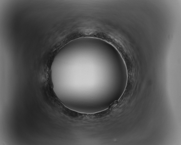 X0000099931349200805301150