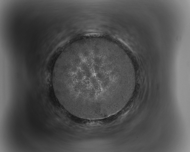 X0000099931351200805301150