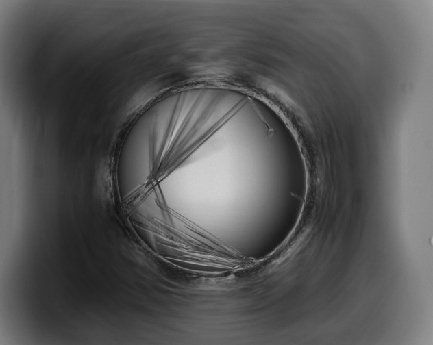 X0000099931354200805301150