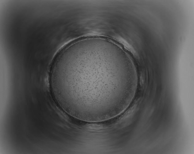 X0000099931356200805301150