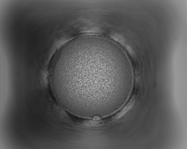 X0000099931357200805301150