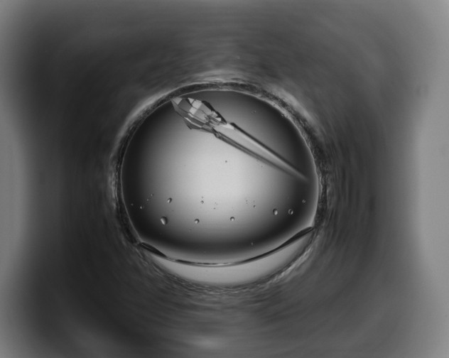 X0000099931358200805301150