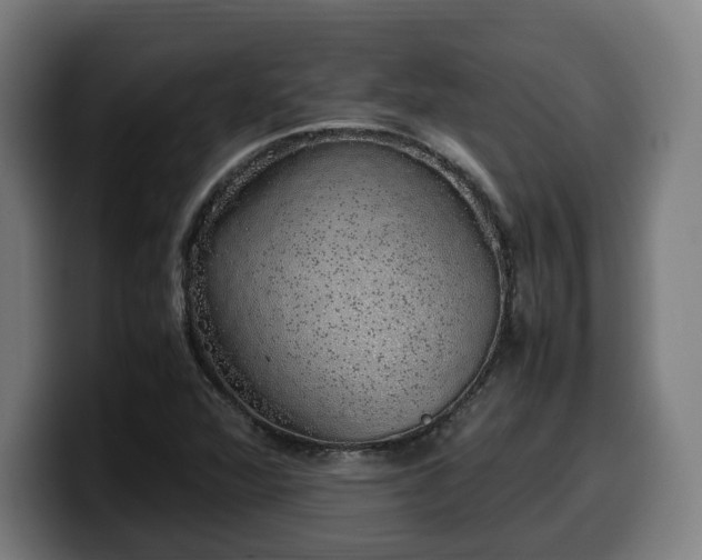 X0000099931360200805301150