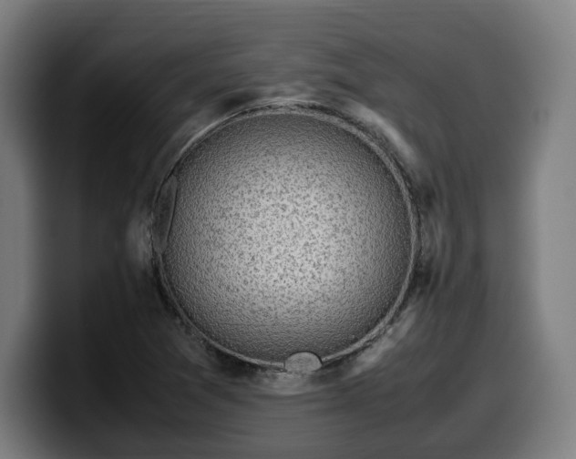 X0000099931361200805301150