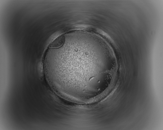 X0000099931362200805301150