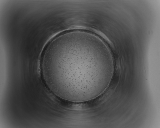 X0000099931364200805301150