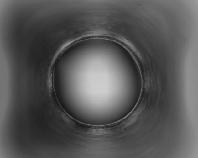 X0000099931366200805301150