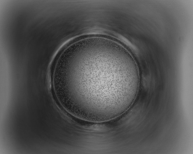 X0000099931368200805301150