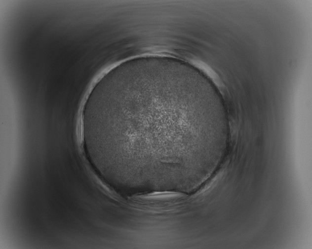 X0000099931371200805301150