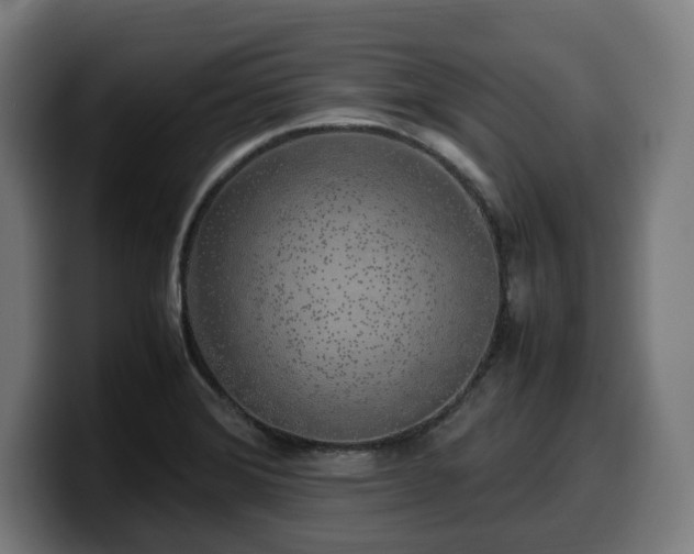 X0000099931372200805301150