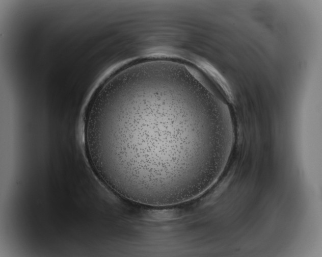 X0000099931376200805301150