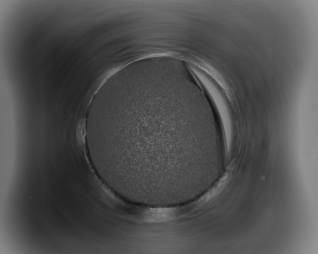 X0000099931377200805301150