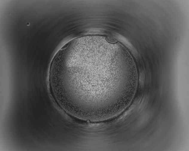 X0000099931378200805301150