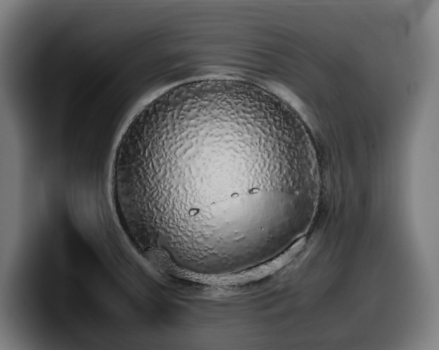 X0000099931379200805301150