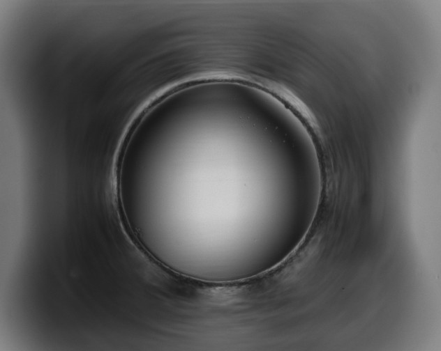 X0000099931380200805301150