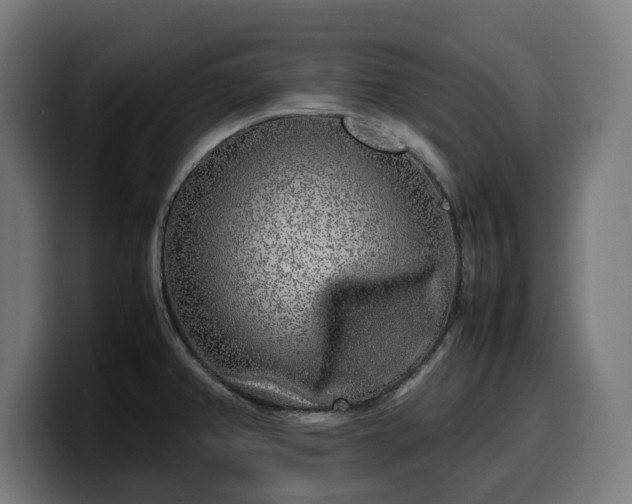 X0000099931382200805301150