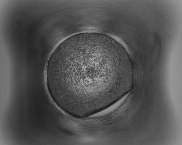 X0000099931383200805301150