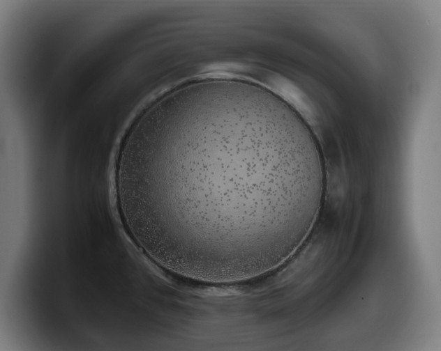 X0000099931384200805301150